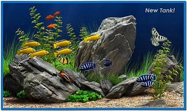 aquarium screensaver for mac